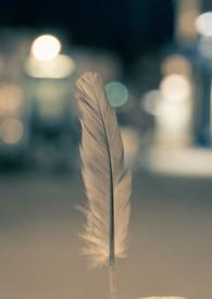 天使投资人是什么意思